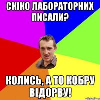 Скіко лабораторних писали? Колись, а то кобру відорву!