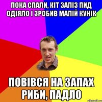 пока спали, кіт заліз пид одіяло і зробив малій кунік повівся на запах риби, падло