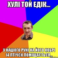 Хулі той Едік... у нашого Руні на його кобрі 14 птічєк поміщається...