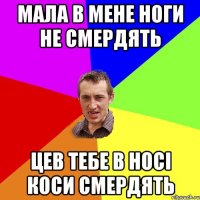 МАЛА В МЕНЕ НОГИ НЕ СМЕРДЯТЬ ЦЕВ ТЕБЕ В НОСІ КОСИ СМЕРДЯТЬ