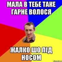 мала в тебе таке гарне волося жалко шо під носом