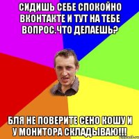 Сидишь себе спокойно Вконтакте и тут на тебе вопрос.Что делаешь? Бля не поверите сено кошу и у монитора складываю!!!