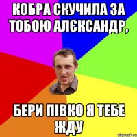 кобра скучила за тобою Алєксандр, бери півко я тебе жду