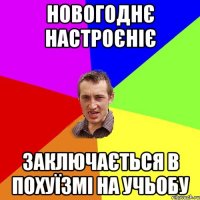 НОВОГОДНЄ НАСТРОЄНІЄ ЗАКЛЮЧАЄТЬСЯ В ПОХУЇЗМІ НА УЧЬОБУ