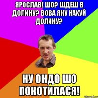 Ярослав! Шо? Шдеш в долину? Вова яку нахуй долину? Ну ондо шо покотилася!