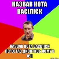 Назвав кота Васіліск Назвав кота васіліск Перестав дивитись йому в очі