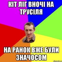 кіт ліг вночі на трусіля на ранок вже були значосом