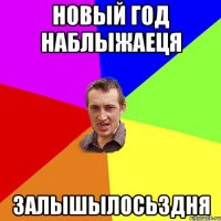 новый год наблыжаеця залышылось3дня