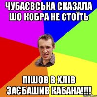 ЧУБАЄВСЬКА СКАЗАЛА ШО КОБРА НЕ СТОЇТЬ ПІШОВ В ХЛІВ ЗАЄБАШИВ КАБАНА!!!!