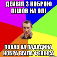 дейвіл з коброю пішов на олі попав на пададина, кобра вбіла фенікса