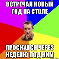 Встречал Новый Год на столе Проснулся через неделю под ним