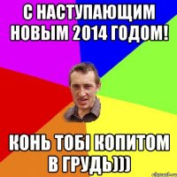 с наступающим новым 2014 годом! конь тобі копитом в грудь)))