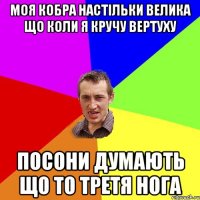 Моя кобра настільки велика Що коли я кручу вертуху посони думають що то третя нога