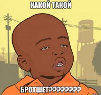 Какой такой БРОТШЕТ????????