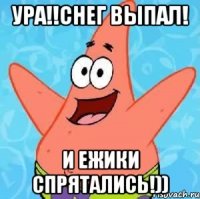 Ура!!Снег выпал! И ежики спрятались!))