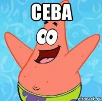 сева 