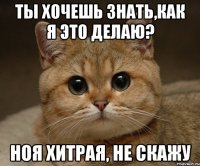 ты хочешь знать,как я это делаю? ноя хитрая, не скажу