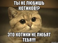 Ты не любишь котиков!? Это котики не любят тебя!!!