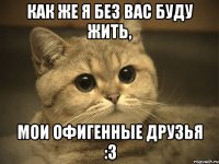 Как же я без вас буду жить, мои офигенные друзья :3