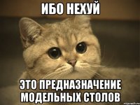 ИБО НЕХУЙ ЭТО ПРЕДНАЗНАЧЕНИЕ МОДЕЛЬНЫХ СТОЛОВ