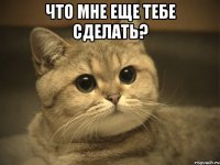 что мне еще тебе сделать? 