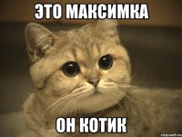 Это Максимка он котик