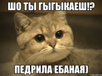 шо ты гыгыкаеш!? педрила ебаная)