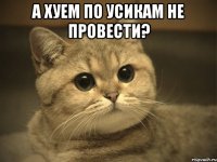 А хуем по усикам не провести? 