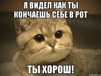 Я видел как ты кончаешь себе в рот Ты хорош!