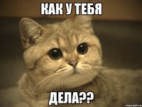 КАК У ТЕБЯ ДЕЛА??