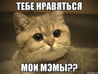 тебе нравяться мои мэмы??