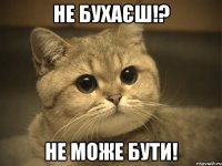 Не бухаєш!? Не може бути!