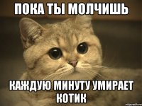 пока ты молчишь каждую минуту умирает котик