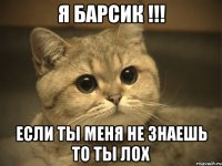 я Барсик !!! если ты меня не знаешь то ты лох