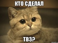 Кто сделал твз?