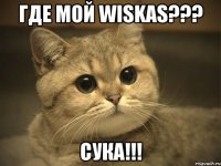 где мой Wiskas??? Сука!!!