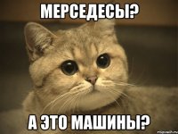 мерседесы? а это машины?