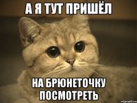 а я тут пришёл на брюнеточку посмотреть