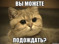 Вы можете подождать?