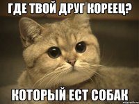 Где твой друг кореец? Который ест собак