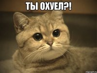 ты охуел?! 