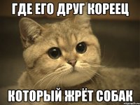 где его друг кореец который жрёт собак