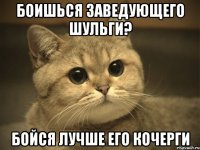 боишься заведующего Шульги? бойся лучше его кочерги