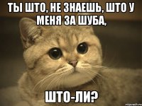 ты што, не знаешь, што у меня за шуба, што-ли?