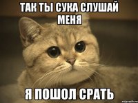 Так ты сука слушай меня Я пошол срать