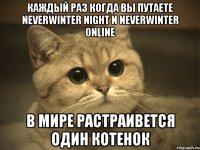 каждый раз когда вы путаете Neverwinter Night и Neverwinter Online в мире растраивется один котенок