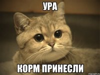 Ура Корм принесли