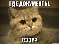 где документы, сээр?