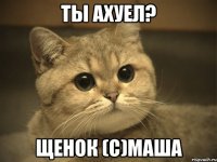 Ты ахуел? Щенок (с)Маша