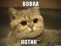 Вовка Котик**